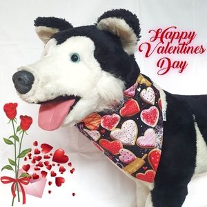 🐶 3 for $15 * Pablos Valentines Over The Collar Dog Bandana